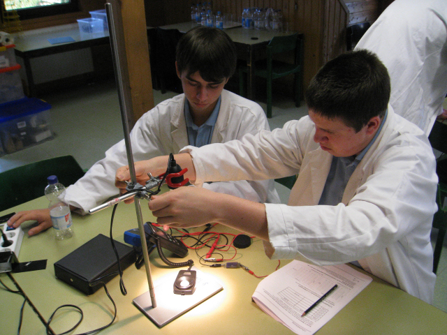 bild_(06)_1657448329