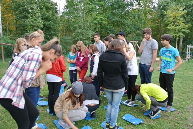 bild_(15)_1657450806